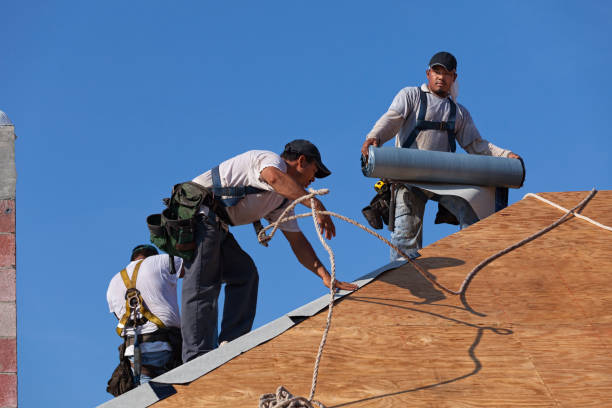 Best Storm Damage Roof Repair  in Crump, TN