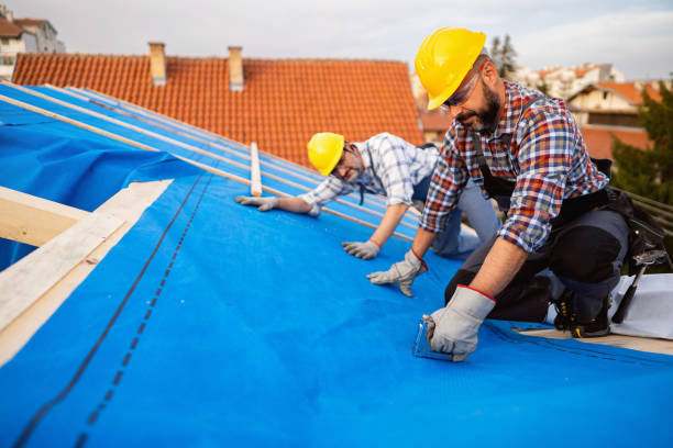Best Roof Gutter Cleaning  in Crump, TN