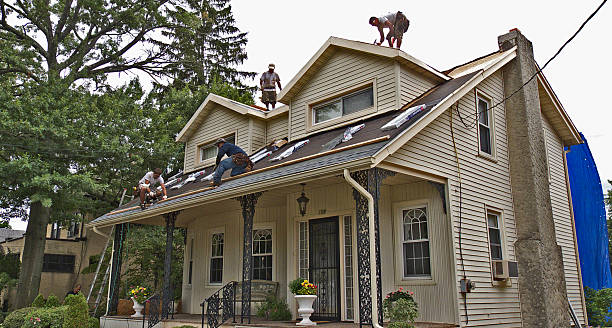 Best Best Roofing Contractors  in Crump, TN