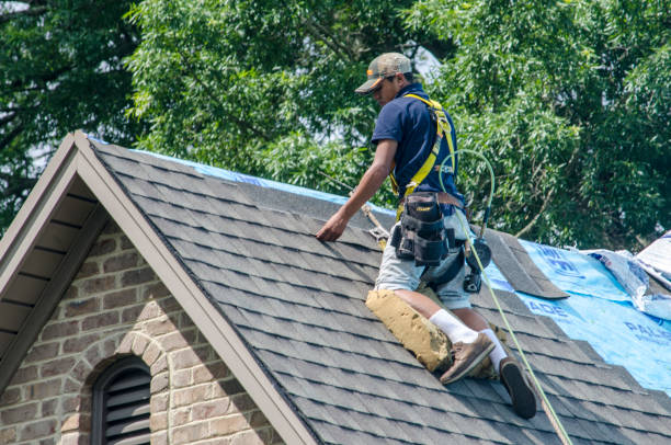 Best New Roof Installation  in Crump, TN